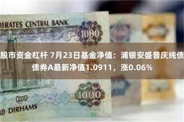 股市资金杠杆 7月23日基金净值：浦银安盛普庆纯债债券A最新净值1.0911，涨0.06%