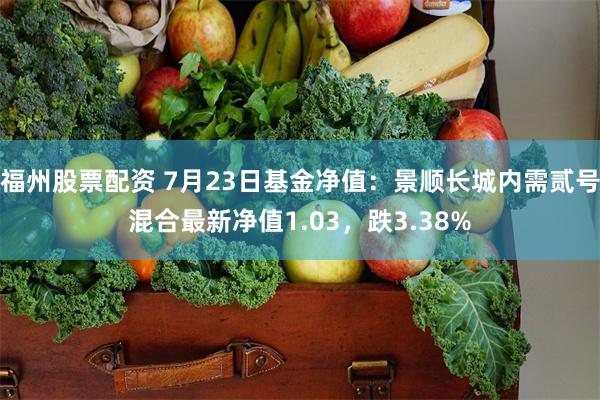 福州股票配资 7月23日基金净值：景顺长城内需贰号混合最新净值1.03，跌3.38%