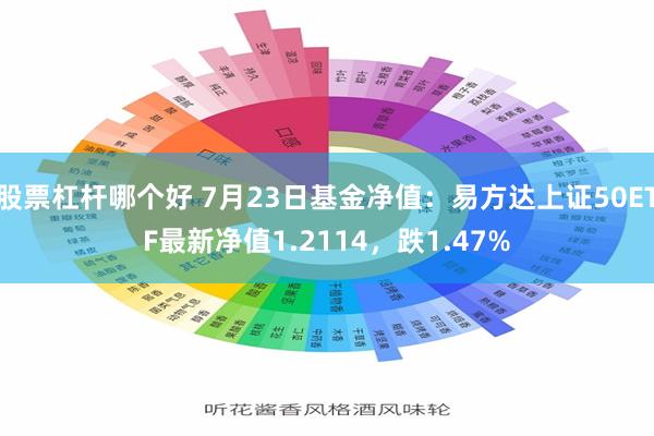 股票杠杆哪个好 7月23日基金净值：易方达上证50ETF最新净值1.2114，跌1.47%