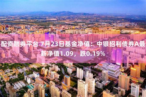 配资融券平台 7月23日基金净值：中银招利债券A最新净值1.09，跌0.19%