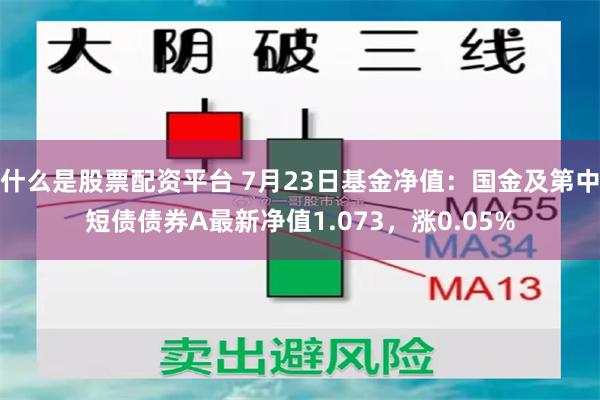 什么是股票配资平台 7月23日基金净值：国金及第中短债债券A最新净值1.073，涨0.05%