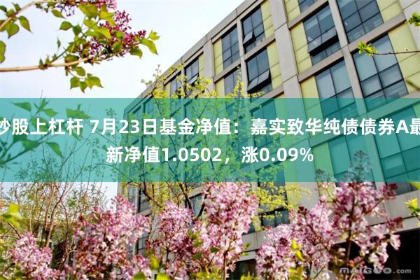 炒股上杠杆 7月23日基金净值：嘉实致华纯债债券A最新净值1.0502，涨0.09%