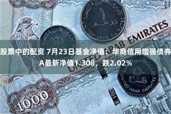 股票中的配资 7月23日基金净值：华商信用增强债券A最新净值1.308，跌2.02%