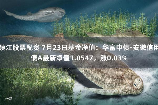 镇江股票配资 7月23日基金净值：华富中债-安徽信用债A最新净值1.0547，涨0.03%