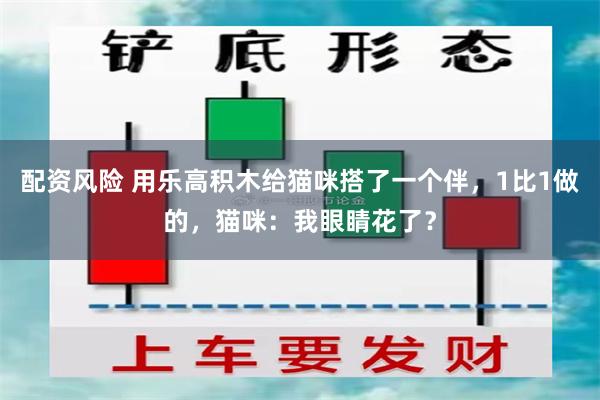 配资风险 用乐高积木给猫咪搭了一个伴，1比1做的，猫咪：我眼睛花了？