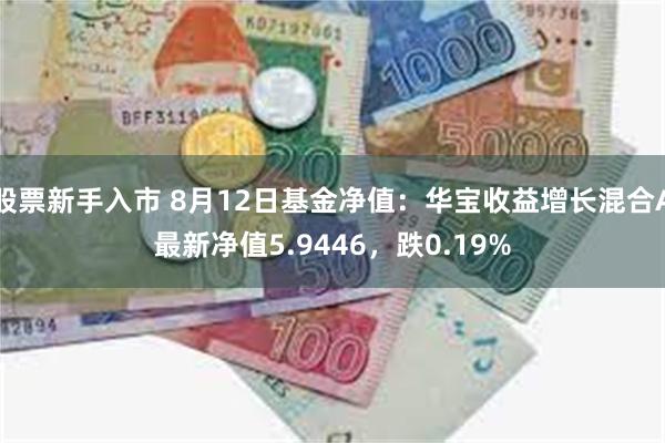 股票新手入市 8月12日基金净值：华宝收益增长混合A最新净值5.9446，跌0.19%