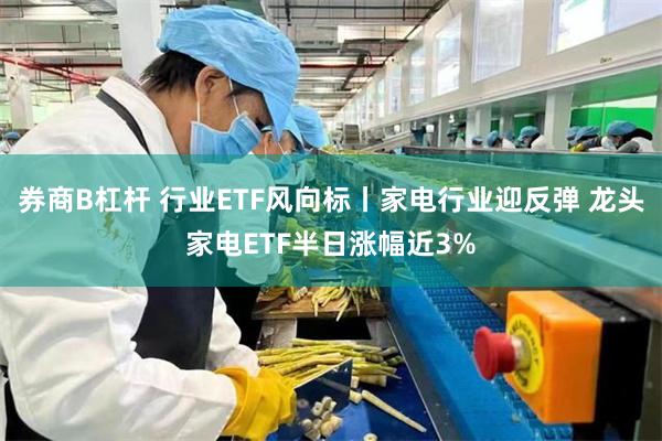 券商B杠杆 行业ETF风向标丨家电行业迎反弹 龙头家电ETF半日涨幅近3%