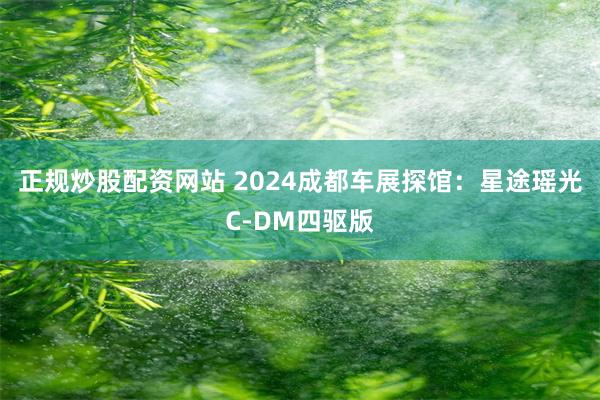 正规炒股配资网站 2024成都车展探馆：星途瑶光C-DM四驱版