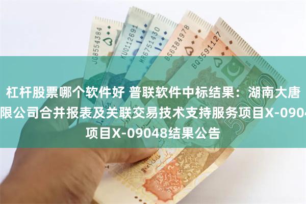 杠杆股票哪个软件好 普联软件中标结果：湖南大唐先一科技有限公司合并报表及关联交易技术支持服务项目X-09048结果公告