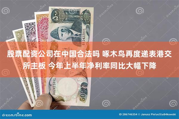 股票配资公司在中国合法吗 啄木鸟再度递表港交所主板 今年上半年净利率同比大幅下降