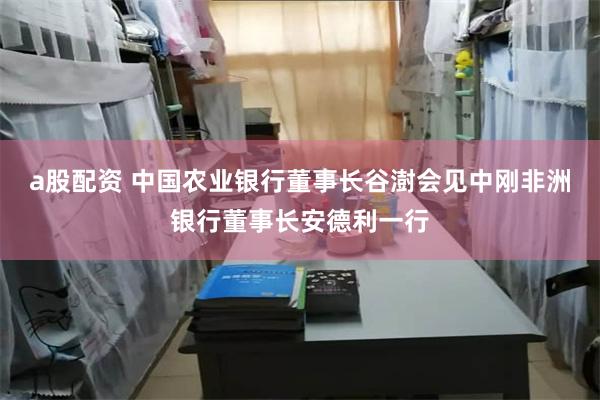 a股配资 中国农业银行董事长谷澍会见中刚非洲银行董事长安德利一行