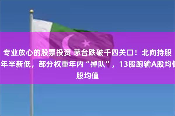 专业放心的股票投资 茅台跌破千四关口！北向持股1年半新低，部分权重年内“掉队”，13股跑输A股均值