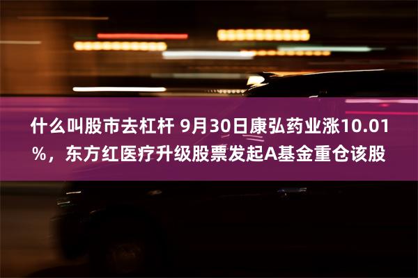 什么叫股市去杠杆 9月30日康弘药业涨10.01%，东方红医疗升级股票发起A基金重仓该股