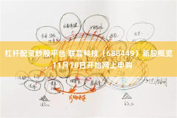 杠杆配资炒股平台 联芸科技（688449）新股概览，11月18日开始网上申购