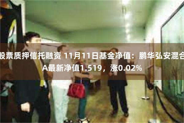 股票质押信托融资 11月11日基金净值：鹏华弘安混合A最新净值1.519，涨0.02%