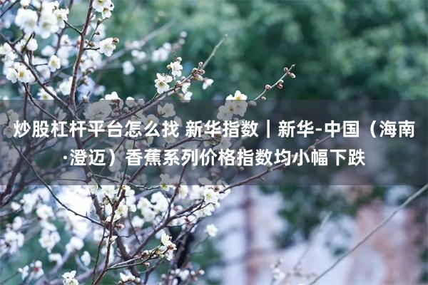 炒股杠杆平台怎么找 新华指数｜新华-中国（海南·澄迈）香蕉系列价格指数均小幅下跌