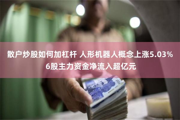 散户炒股如何加杠杆 人形机器人概念上涨5.03% 6股主力资金净流入超亿元