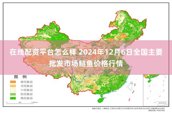 在线配资平台怎么样 2024年12月6日全国主要批发市场鲢鱼价格行情