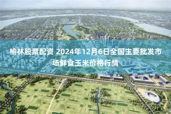 榆林股票配资 2024年12月6日全国主要批发市场鲜食玉米价格行情