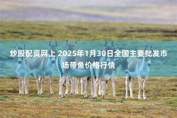 炒股配资网上 2025年1月30日全国主要批发市场带鱼价格行情