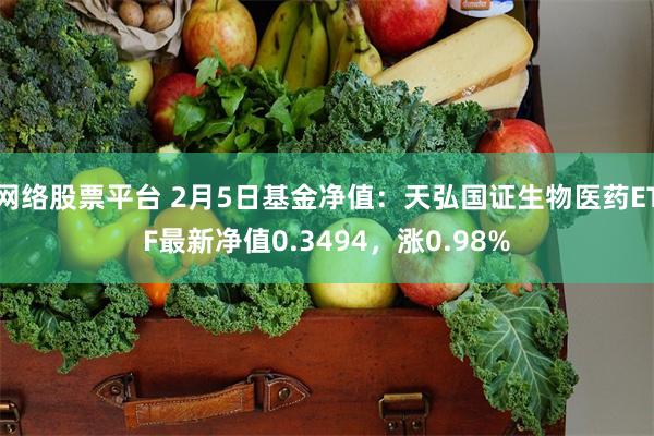 网络股票平台 2月5日基金净值：天弘国证生物医药ETF最新净值0.3494，涨0.98%