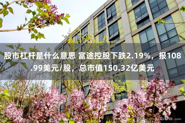 股市杠杆是什么意思 富途控股下跌2.19%，报108.99美元/股，总市值150.32亿美元