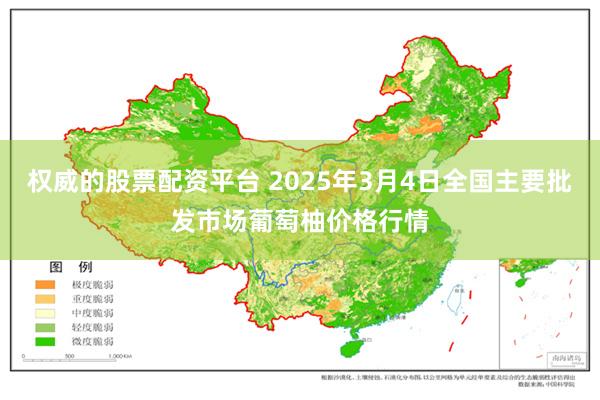 权威的股票配资平台 2025年3月4日全国主要批发市场葡萄柚价格行情